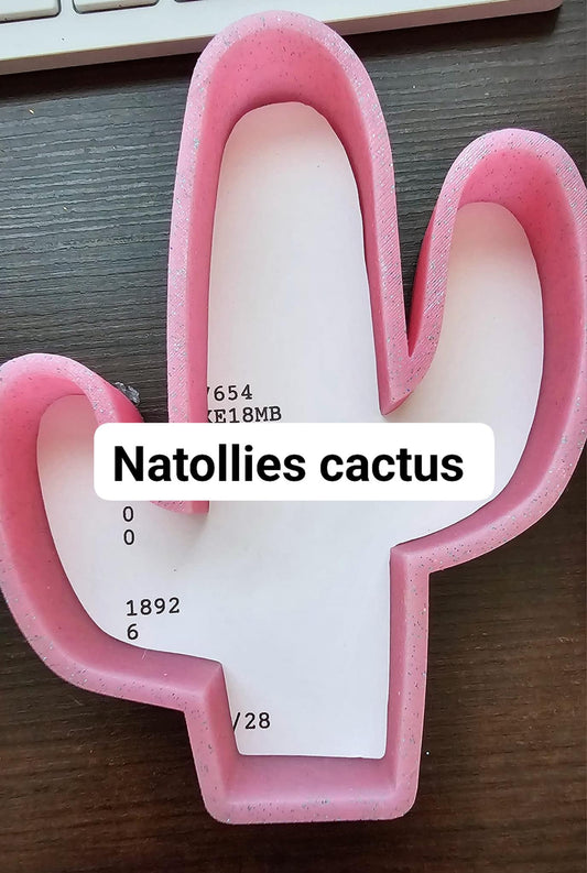 Natollies cactus